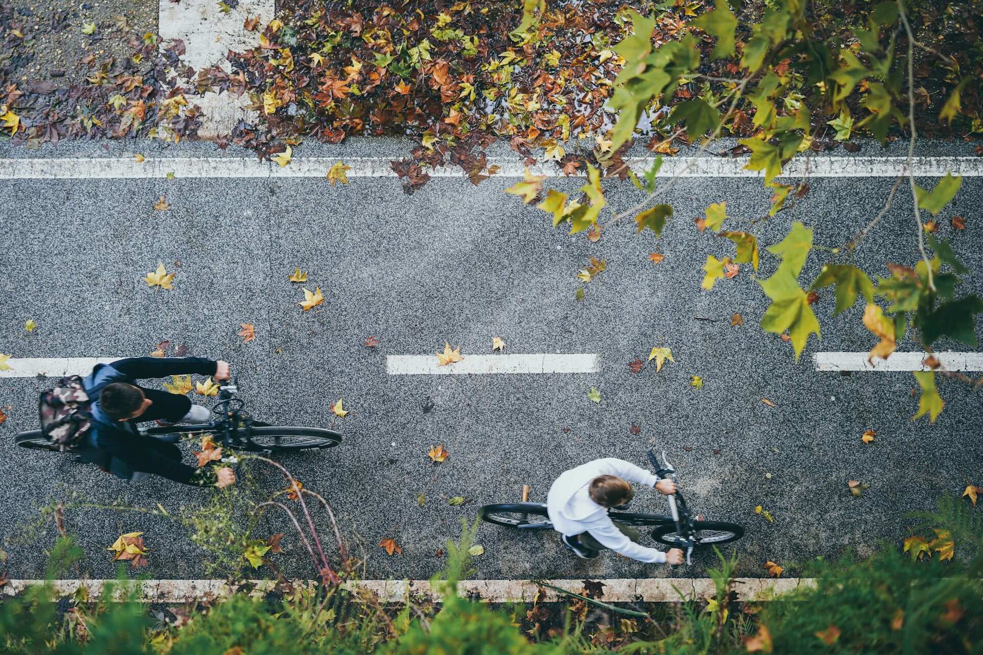 Reflections from Germany: The Cyclists' Kingdom