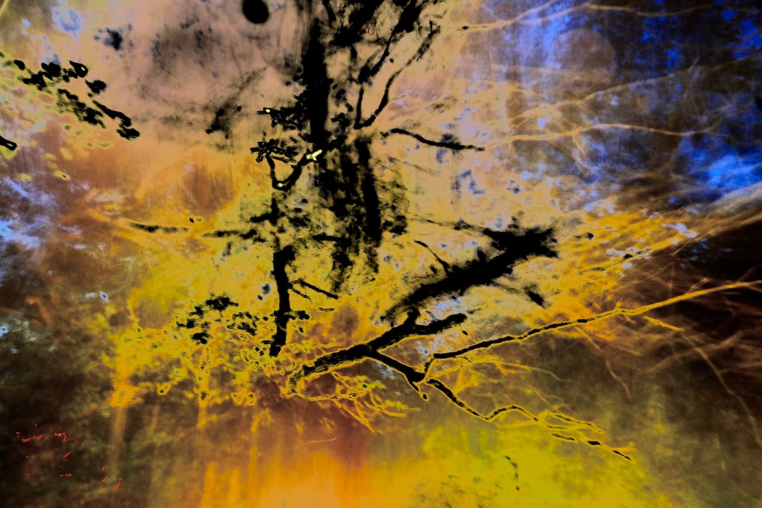 Looking for the Wind-Nightfall-01