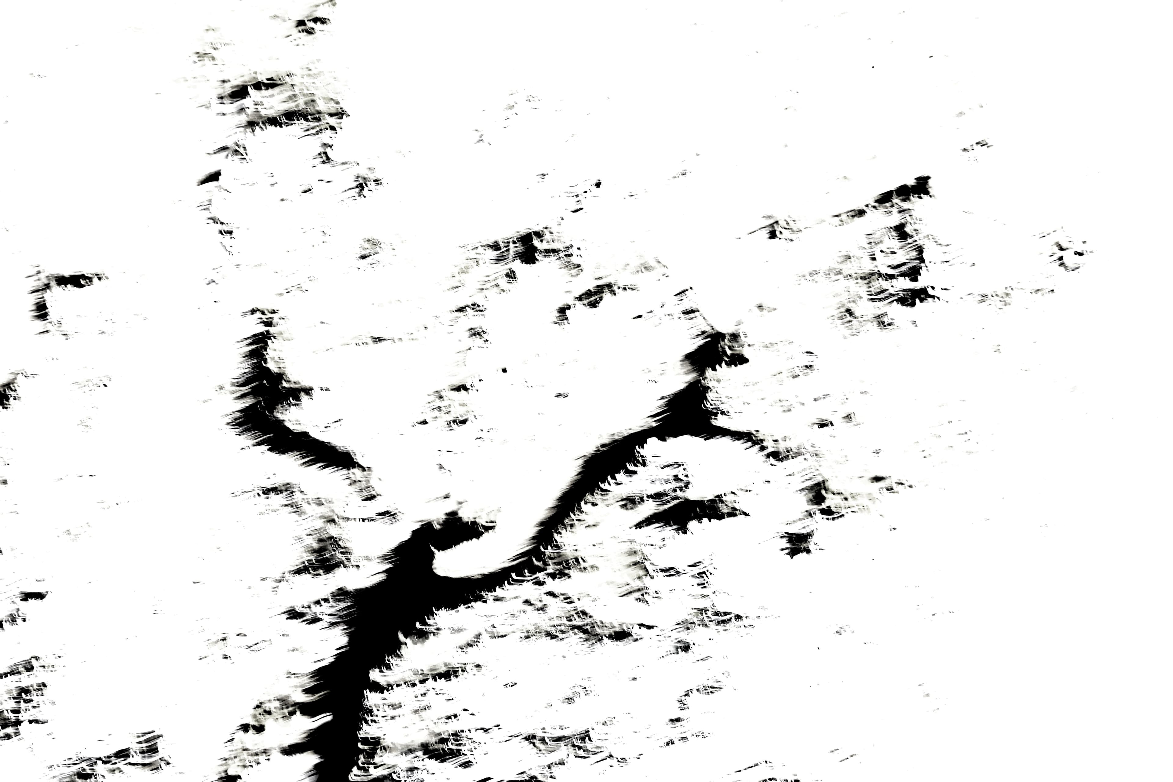 Looking for the Wind - Dawn 03