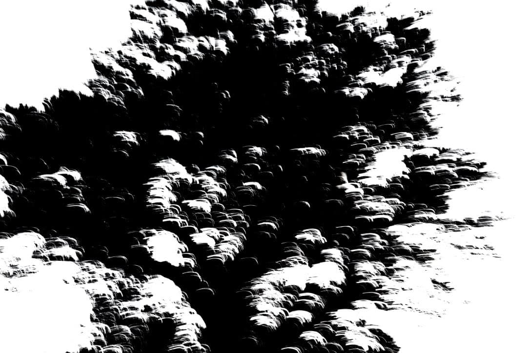 Looking for the Wind - Midnight 04